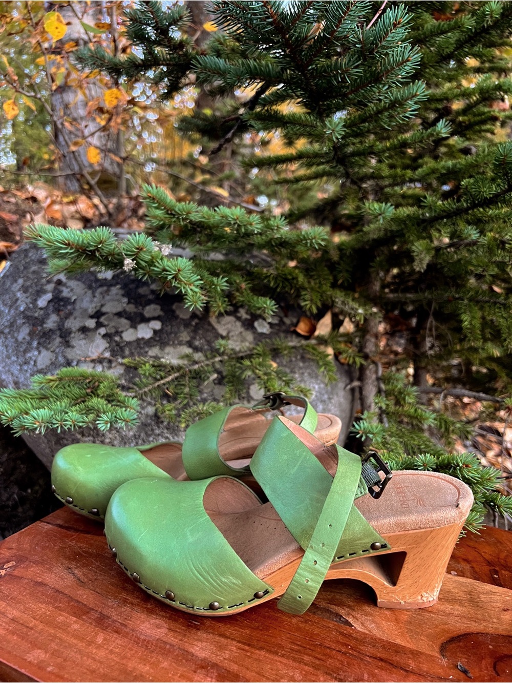 Dansko Green Leather Clog Mules with Wood Platform